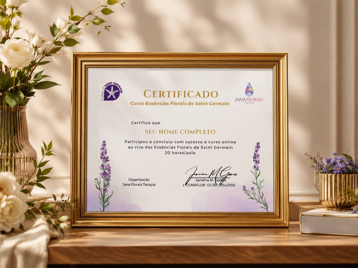 Certificado de conclusão