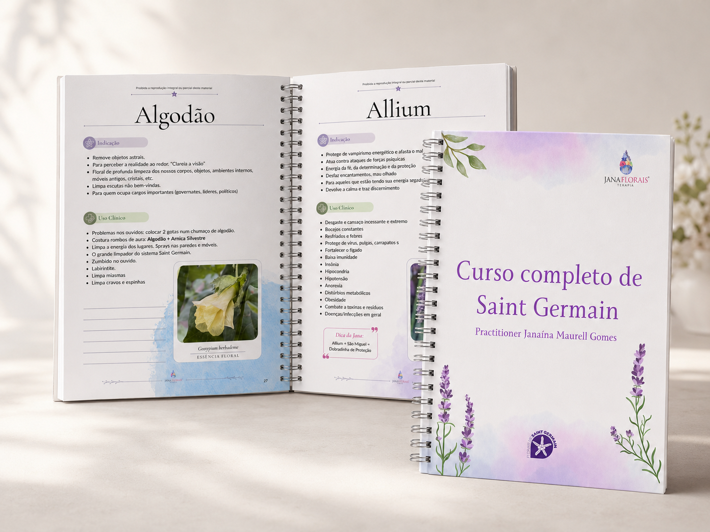 Apostila completa inclusa (em PDF)